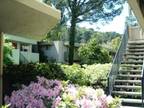 Vanguard Apartments - Charming 2 Bed/1 Bath in Moraga