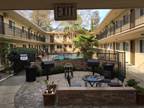 Tiffany Plaza-1 Bed/1 Bath Downtown Lafayette Apartment Home!