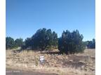 Show Low, Lovely piece of vacant land located in the White