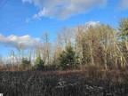 National City, 11.2 acres of wooded hunting property.