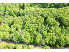 Kalkaska, These nicely wooded lots (19 & 20) sit