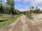 Pickford, Beautiful 40 Acres of prime Hunting property a
