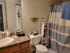 Roommate wanted to share 1 Bedroom 1 Bathroom Apartment...