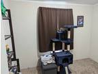 Roommate wanted to share 3 Bedroom 2 Bathroom Other...