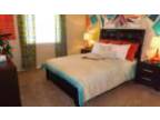One Bedroom In NW San Antonio