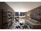 LUXURY Renovated 2Bed/2Bath High Ceilings New K...