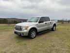 2011 Ford F-150 For Sale