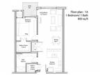The Cavanagh 55+ Apartments - One Bedroom - A