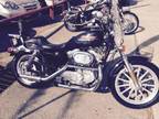 2000 Harley Davidson Sportster 883 For Sale