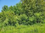 Gladwin, Sugar Springs Vacant lot, plenty of shade trees.