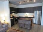 Extra Large South Loop Two Bed Two Bath Feels L...