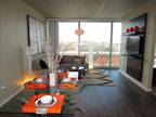 Large New South Loop Two Bed Apartment Ss/ Appl...