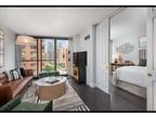 Newly Renovated Large Affordable South Loop One...