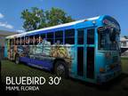 2007 Blue Bird Bluebird 30 tour bus