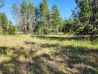 10 Acres in Timber Valley Estates