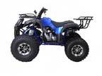 2021 Deluxe 125cc Youth ATV