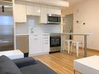 Efficiency 1BR Directly In Harvard Sq With Upsc...