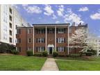 1337 E. Morehead Street #301 Charlotte, NC