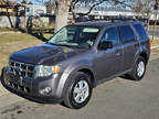 2010 Ford Escape XLT Sport Utility 4D