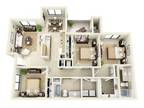 Towne Square Apartment Homes - The Joshua