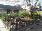 50 La Cruz Ave, Benicia, CA 94510 - House For Rent