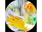 Profitable Specialized Cleaning Business for Sale in Northern Ireland