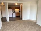 Shelby Manor Senior Apartments - 2 Bedrooms, 1 Bathroom