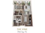 The Levinson - The Vine