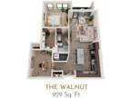 The Levinson - The Walnut