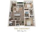 The Levinson - The Chestnut