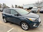 2019 Ford Escape Special Edition