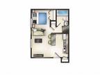 Governeour Manor Apartments - Studio