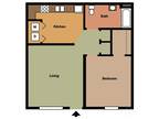 Mountain View Apartment Homes - 1 bedroom 1 bath Large