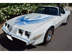 1981 Pontiac Trans Am Turbo