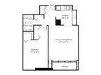 200 N. Dearborn St. Condos - 1 Bedroom - 1 Bathroom