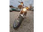 2008 Harley-Davidson Sportster 883 Custom 883 Custom