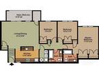 Springford Apartments - Style A 3 Bedroom