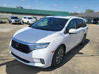 2023 Honda Odyssey Exl