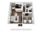 Ivy Apartment Homes - ARRELLAGA 1x1