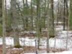 N Oak Park Cir Lot 48 Shawano, WI