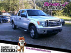 2010 Ford F-150 XLT SuperCab 6.5-ft. Bed 4WD