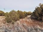 Plot For Rent In Show Low, Arizona