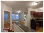 Beautiful Renovated 1 Bed in Lake View