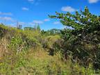 Plot For Sale In Keaau, Hawaii