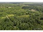 Fenwick, Montcalm County, MI Undeveloped Land for sale Property ID: 417168016