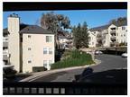 Apartment for Rent, Claredon Hills, Hayward, CA
