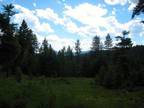 Peaceful 9.9 Acres Eight Miles Out of Kalispell!
