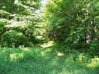 40 Acres in Evergreen Township