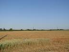 Sumner, Lamar County, TX Undeveloped Land, Homesites for sale Property ID: