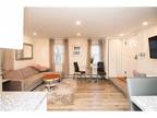 Gut Renovated 1Bed in Brookline Village- Longwood, MBTA